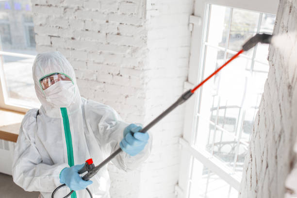 Brogden, NC Mold Removal Company