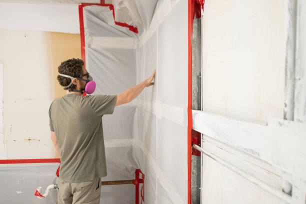 Best Water Damage & Mold Remediation  in Brogden, NC
