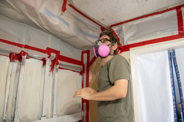 Forensic Mold Investigation in Brogden, NC