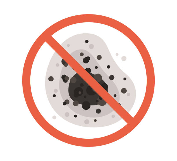 Biohazard Mold Removal in Brogden, NC