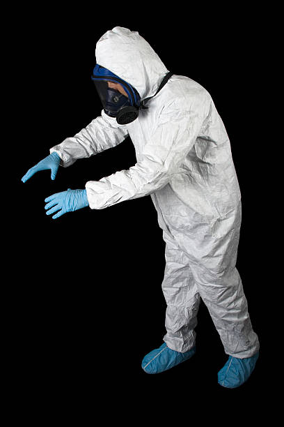 Best Mold Odor Removal Services  in Brogden, NC