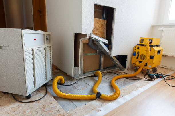 Best Residential Mold Inspection & Testing  in Brogden, NC