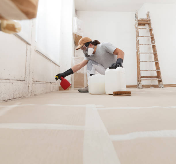 Best Real Estate Mold Inspection  in Brogden, NC